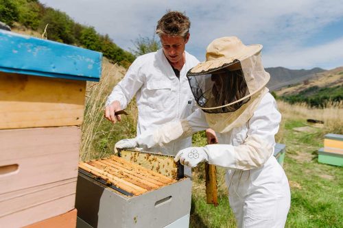 Queenstown-Sweet-Escape-Wine-Honey-Tour-3