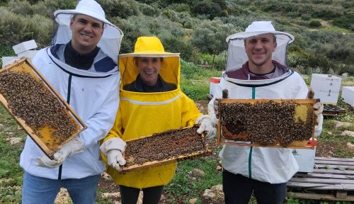 beekeeping-tours-at-dousakis